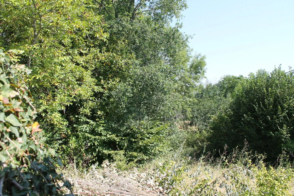 Maison de village à Saint Desiré sur terrain de 2500 m2 