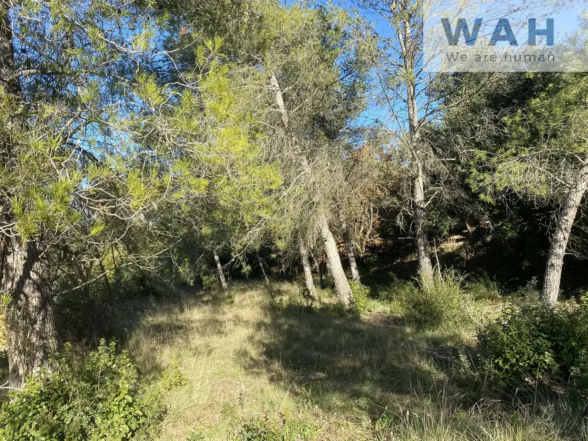 Terrain à bâtir de 1080 m² à Crespian avec vue dégagée 