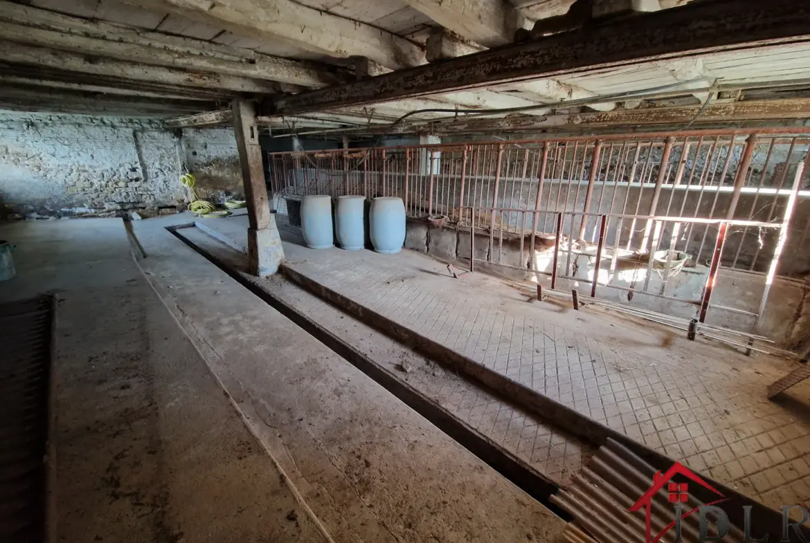 Maison de caractère à vendre à Tollaincourt avec grand potentiel 