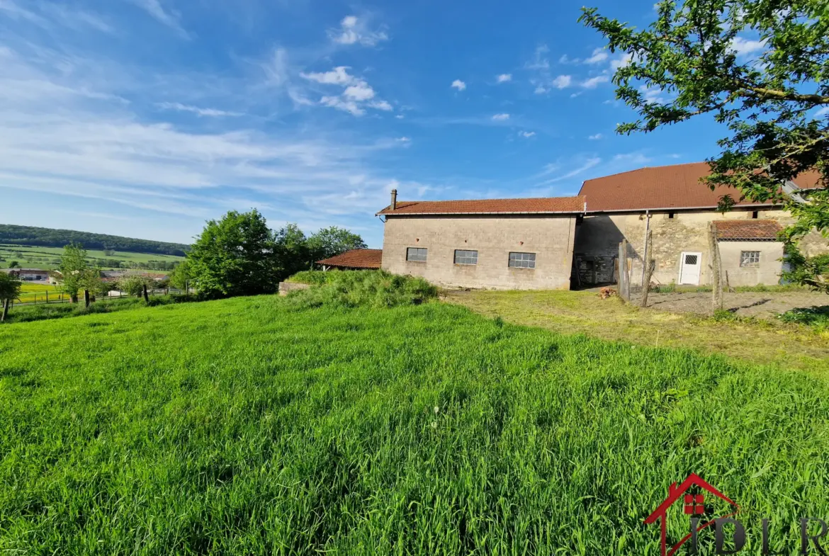 Maison de caractère à vendre à Tollaincourt avec grand potentiel 