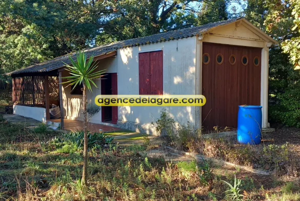 Terrain agricole avec cabanon à Argeles sur Mer 