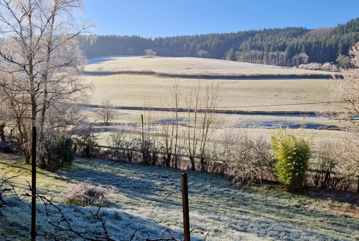 Maison à vendre à Lucenay l'Eveque avec grand terrain et sous-sol 