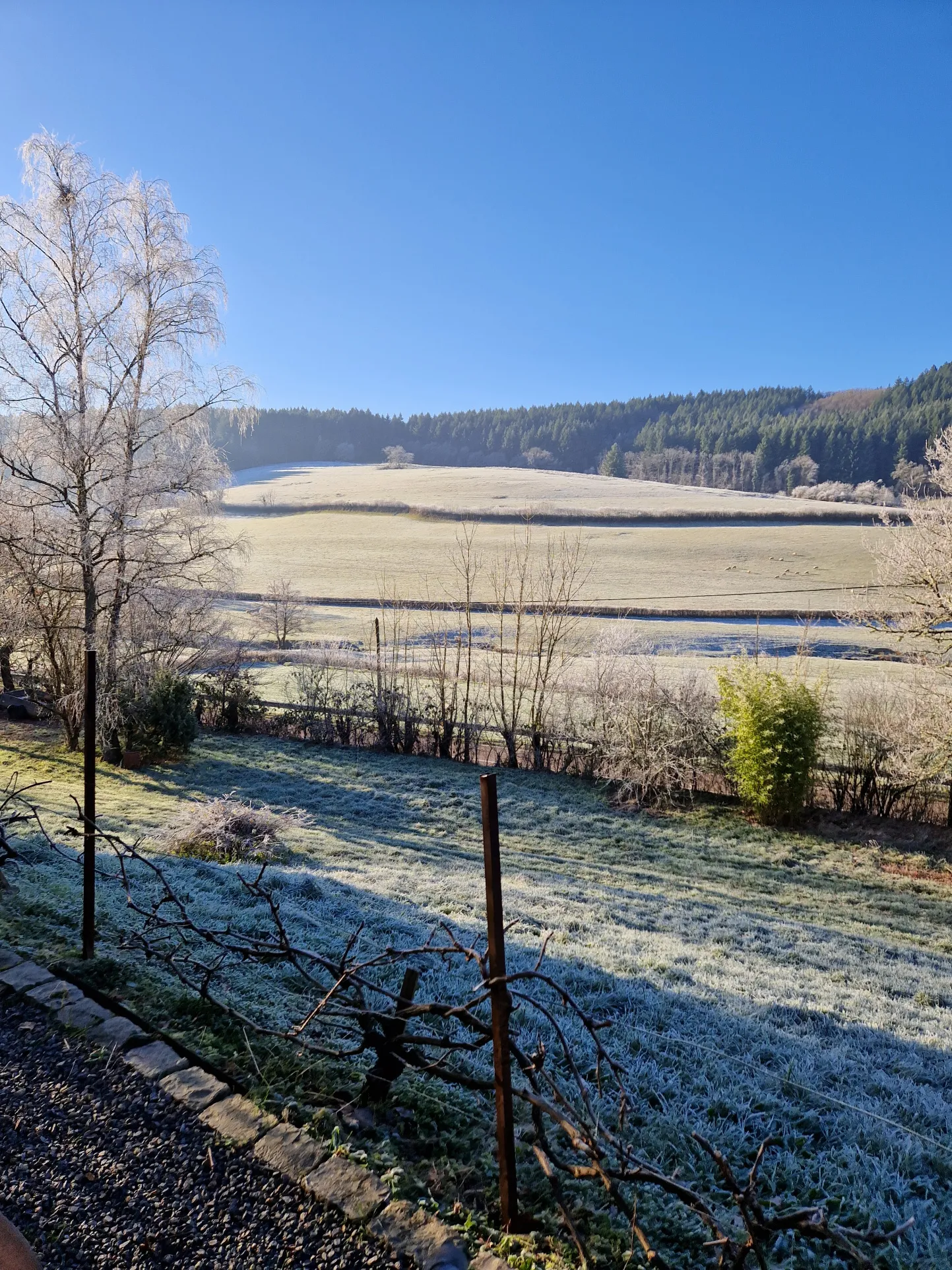 Maison à vendre à Lucenay l'Eveque avec grand terrain et sous-sol 