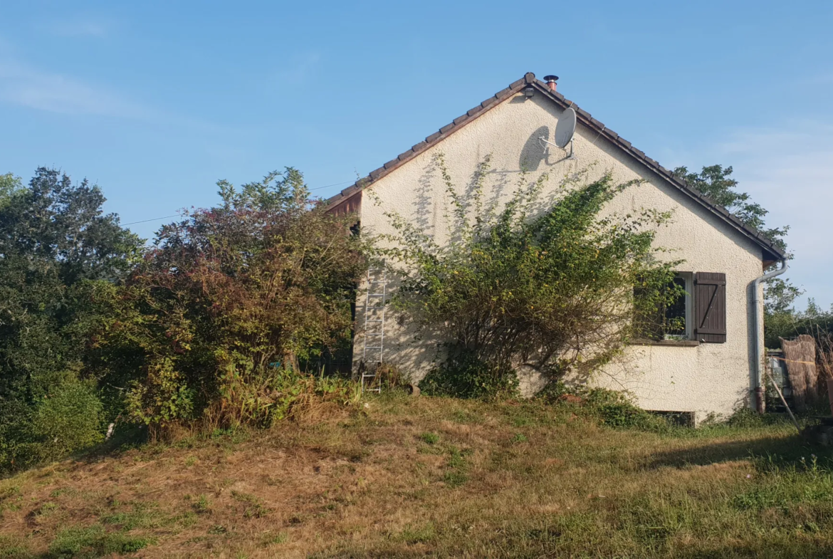 Maison à vendre à Lucenay l'Eveque avec grand terrain et sous-sol 