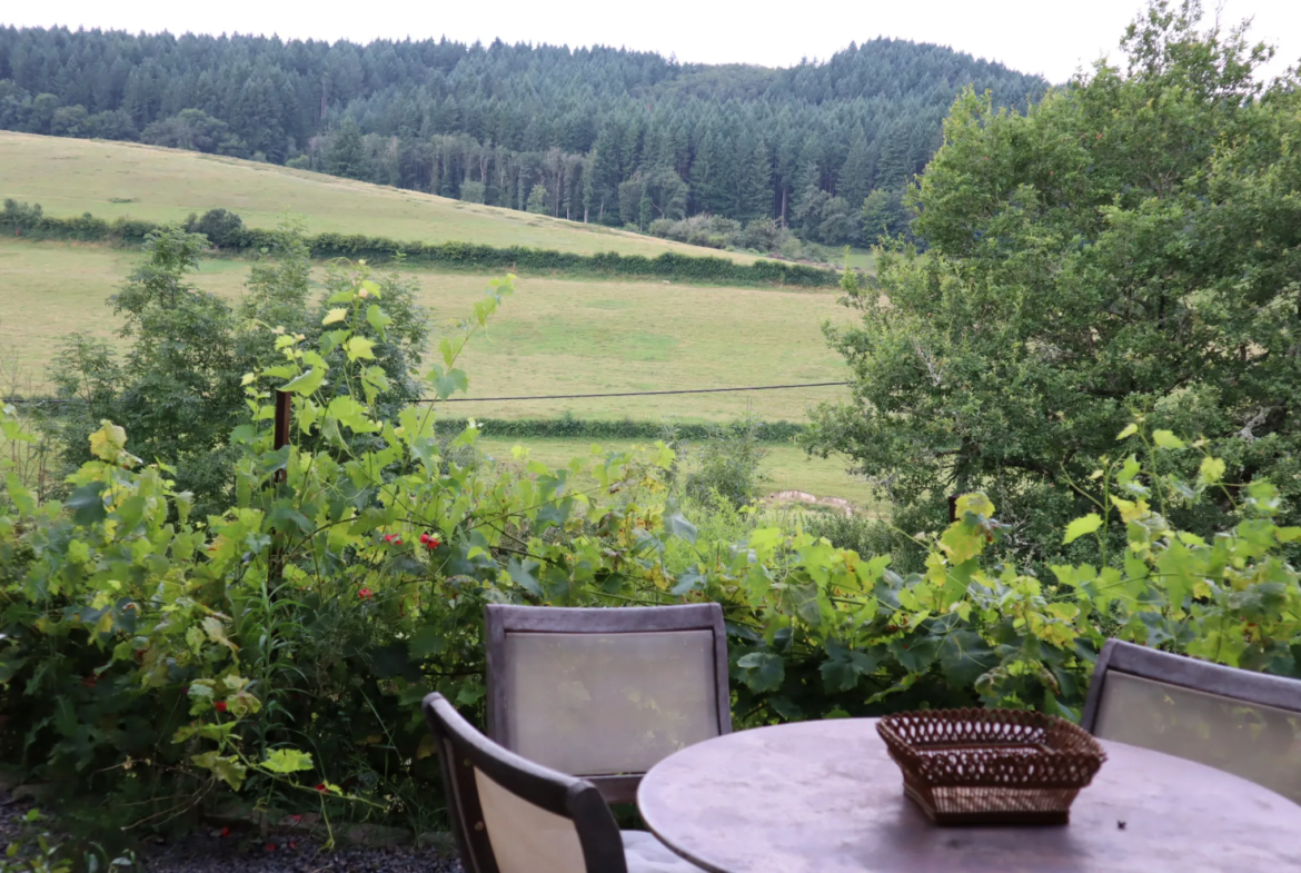 Maison à vendre à Lucenay l'Eveque avec grand terrain et sous-sol 