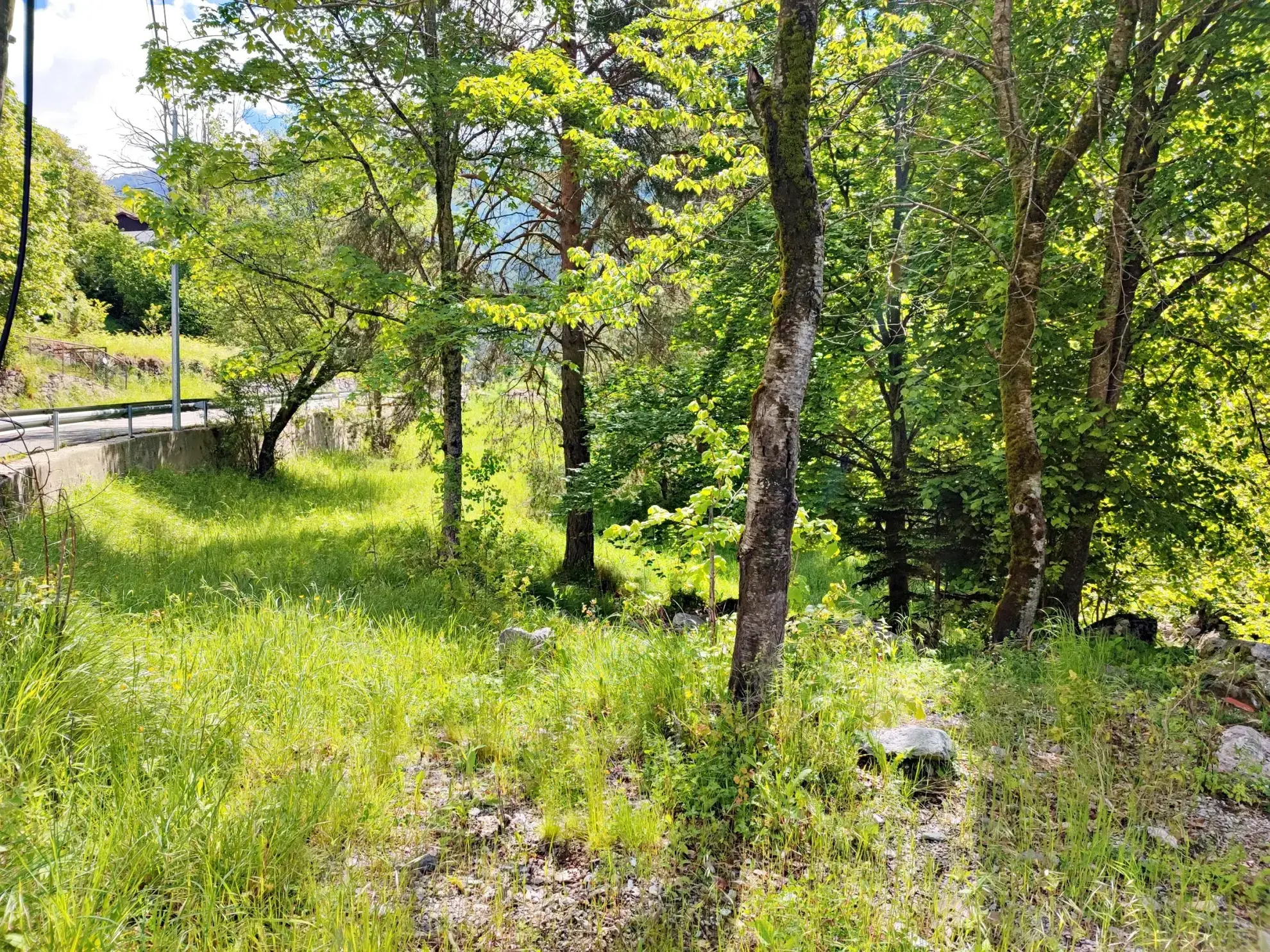 A vendre : terrain de 8 524 m2 avec grange à Belvédère 