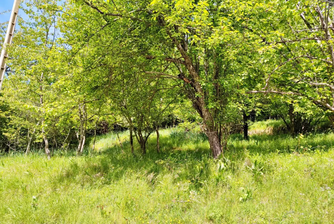 A vendre : terrain de 8 524 m2 avec grange à Belvédère 