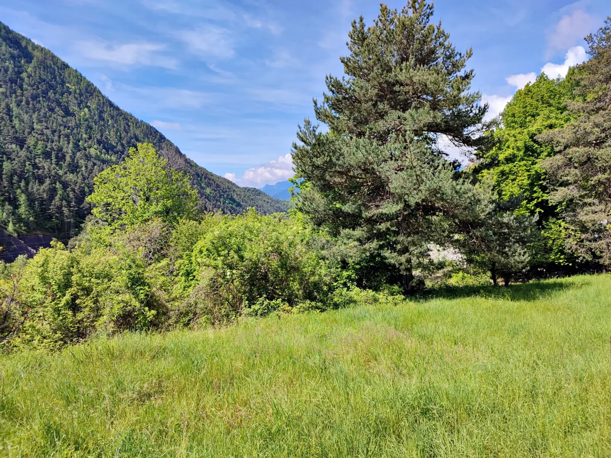 A vendre : terrain de 8 524 m2 avec grange à Belvédère 