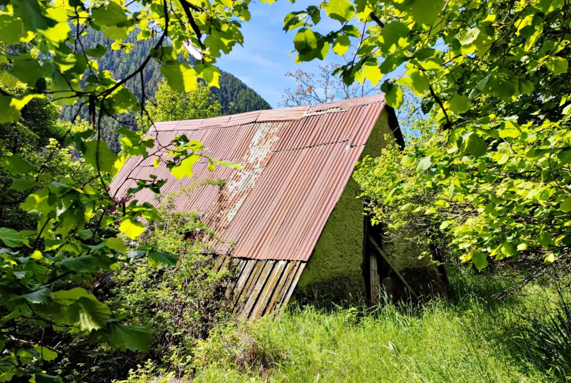 A vendre : terrain de 8 524 m2 avec grange à Belvédère 