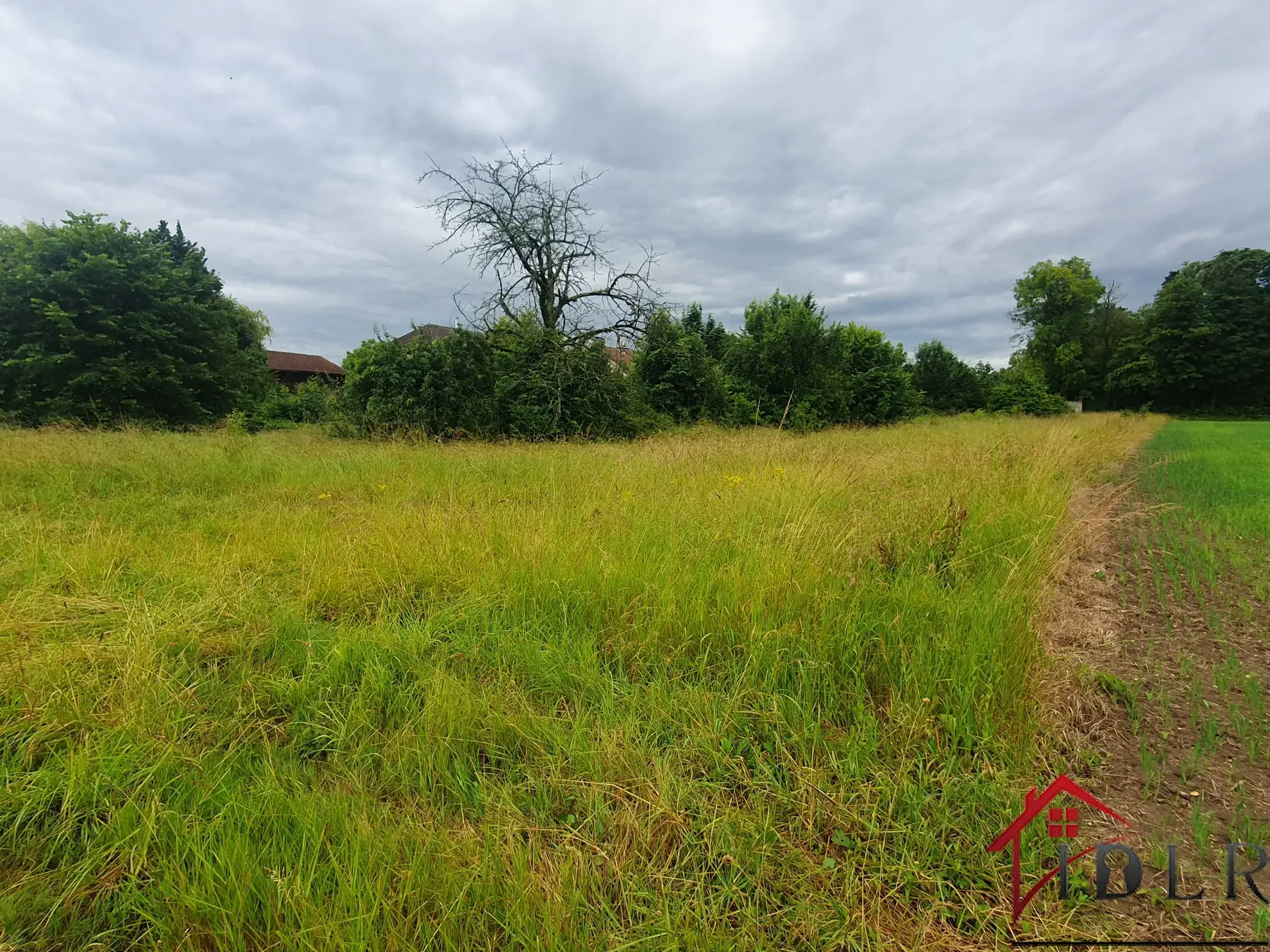 Terrains à bâtir à Favresse - 2772 m² 