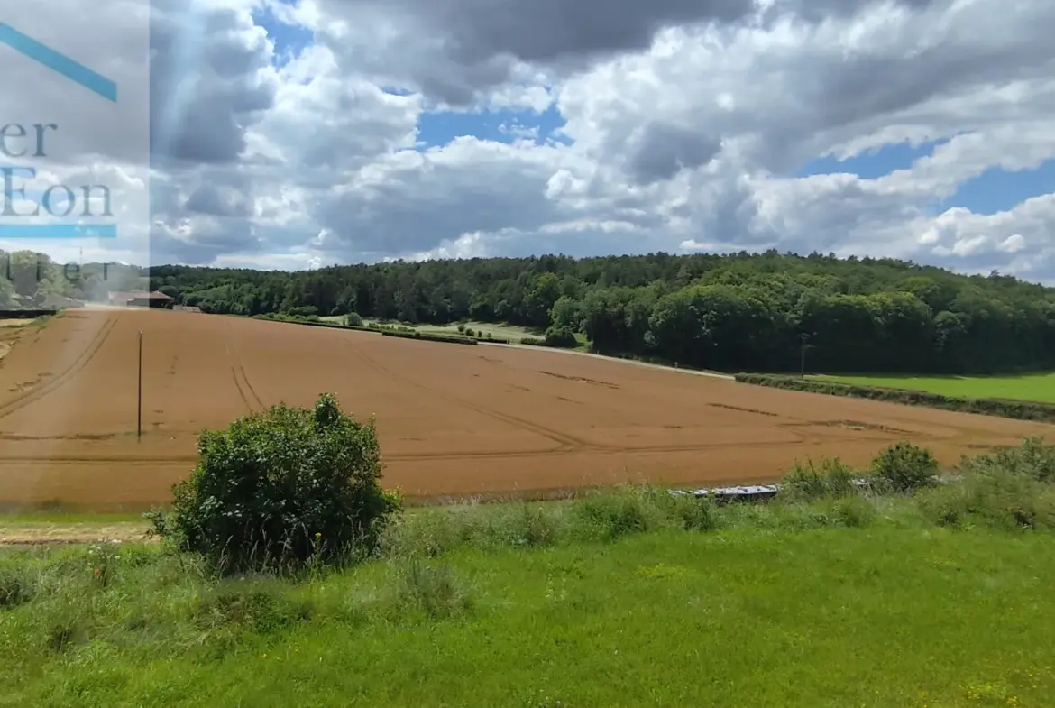 Maison de campagne à vendre à Pimelles - Grand jardin et belles prestations 