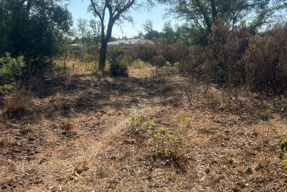 3 parcelles constructibles de 1100 m² à Morta à vendre 