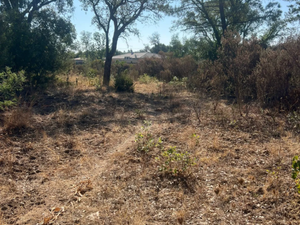 3 parcelles constructibles de 1100 m² à Morta à vendre