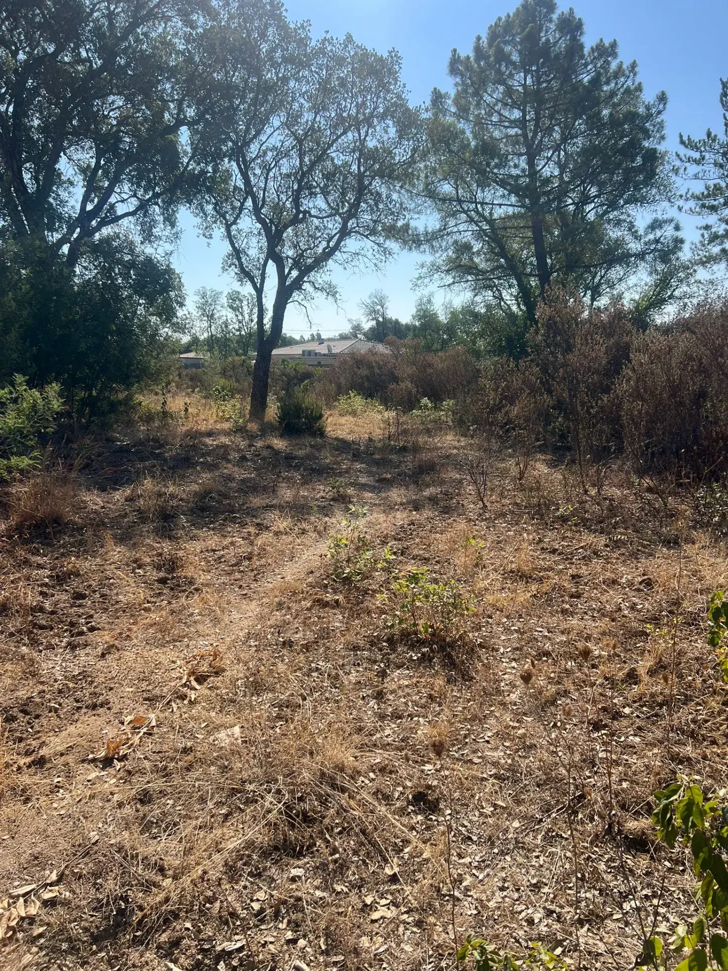 3 parcelles constructibles de 1100 m² à Morta à vendre 