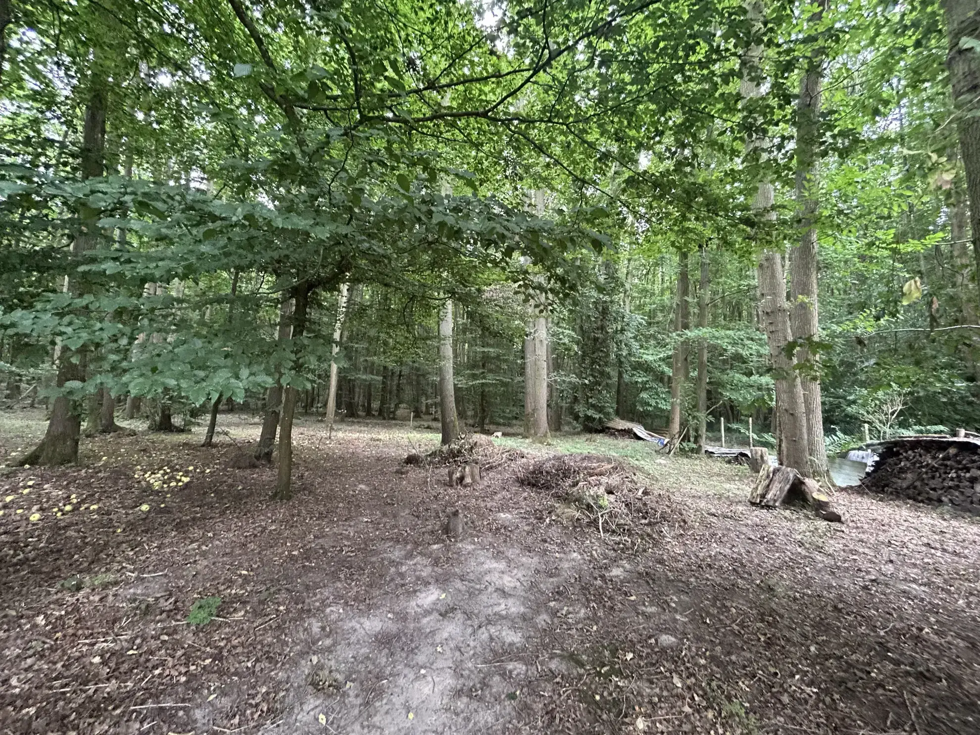 16 Parcelles de Bois à Souzy-la-Briche et Villeconin à Vendre 