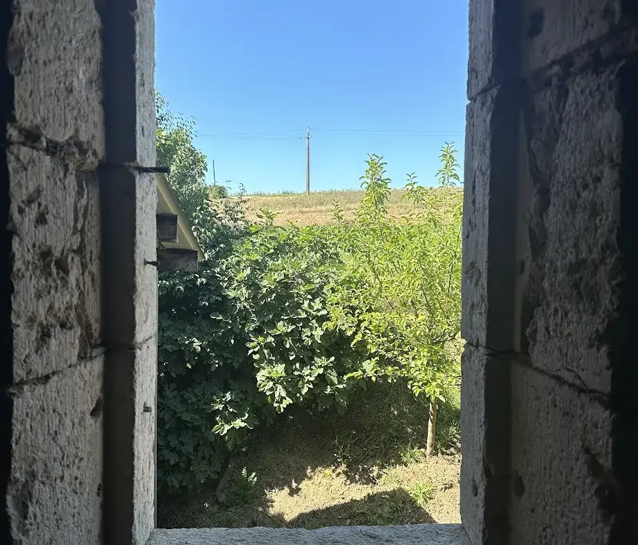 Charmante maison en pierre à Fleurance dans un écrin de tranquillité 