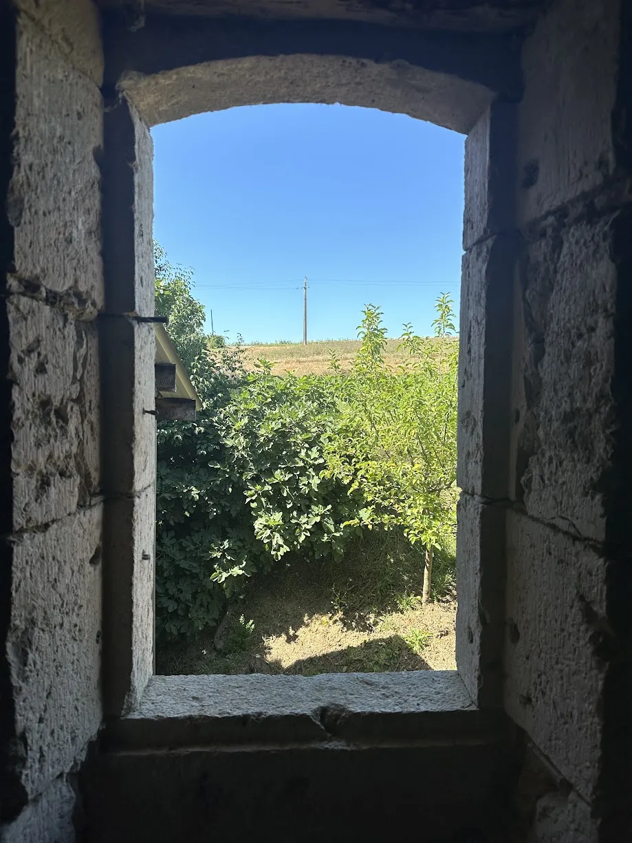 Charmante maison en pierre à Fleurance dans un écrin de tranquillité 