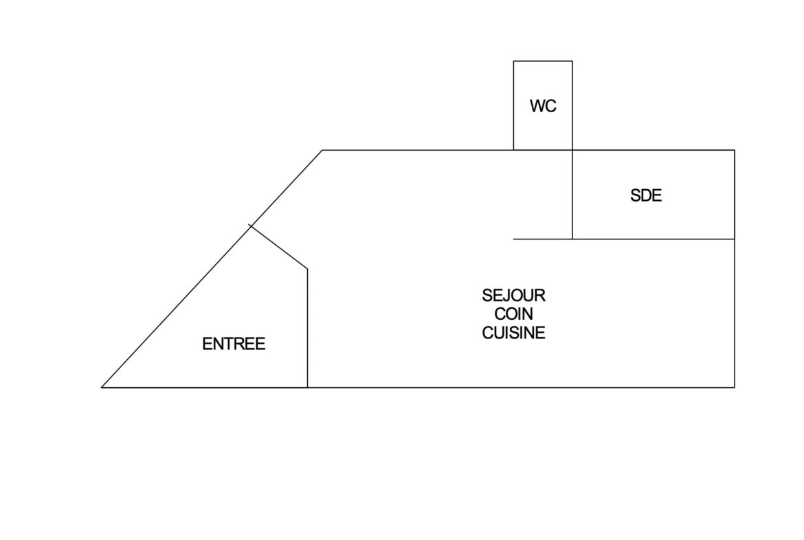 Studio idéalement situé à Lyon 3 - Investissement locatif ou premier achat 