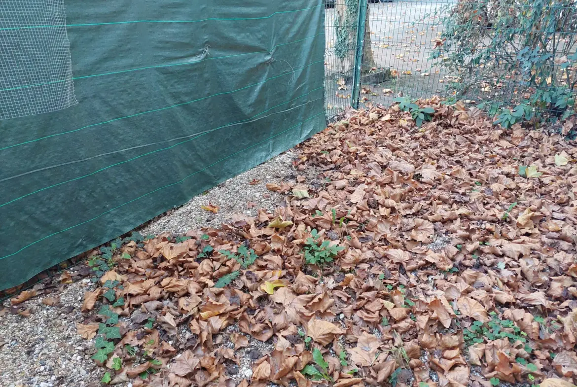 Maison rénovée au cœur de Langon avec 2 chambres et garage 