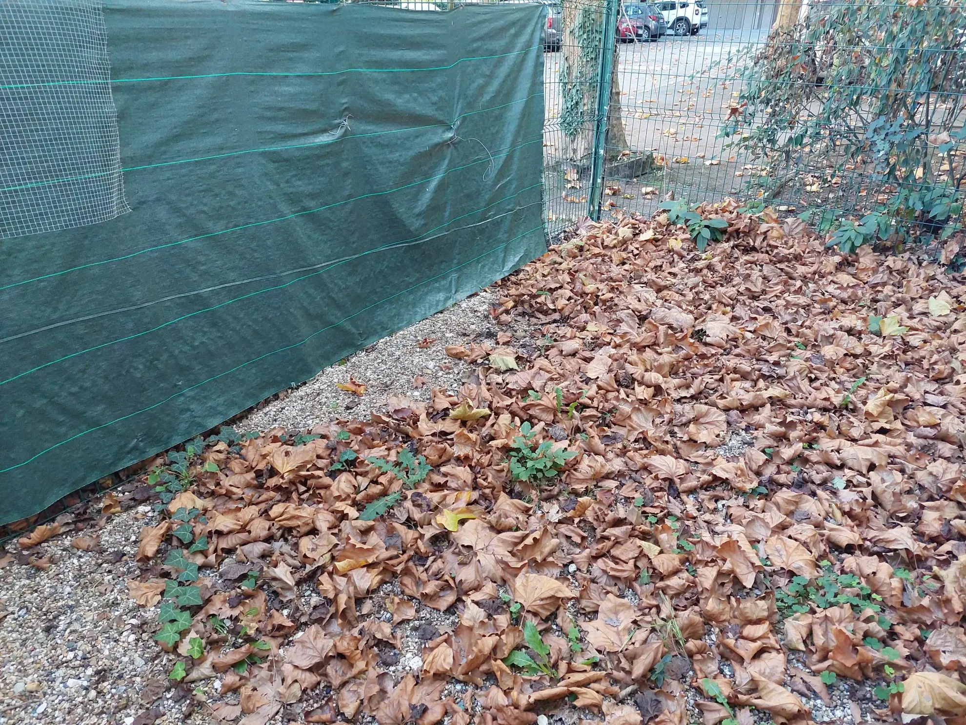 Maison rénovée au cœur de Langon avec 2 chambres et garage 