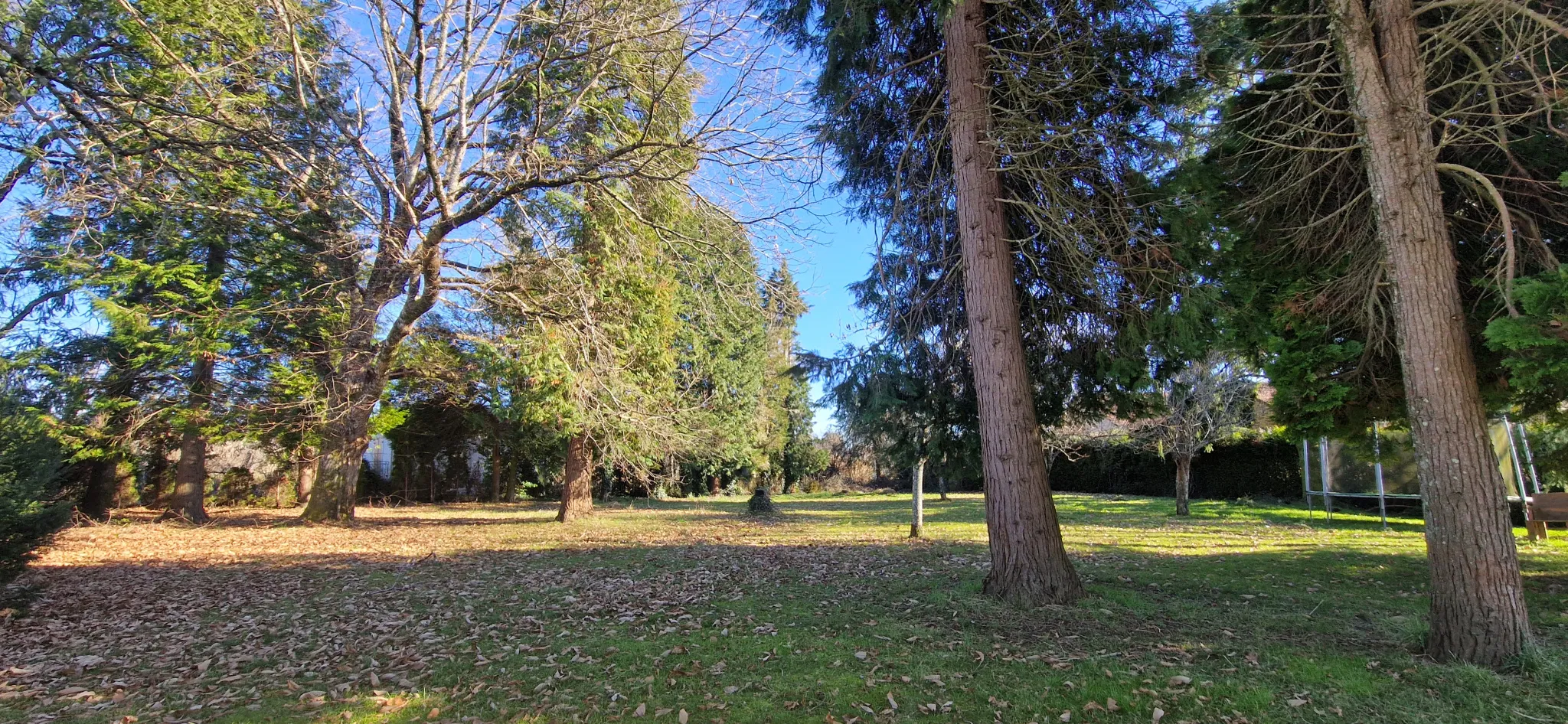 Maison en Pierre avec Parc de 3000 m² à Lubersac 