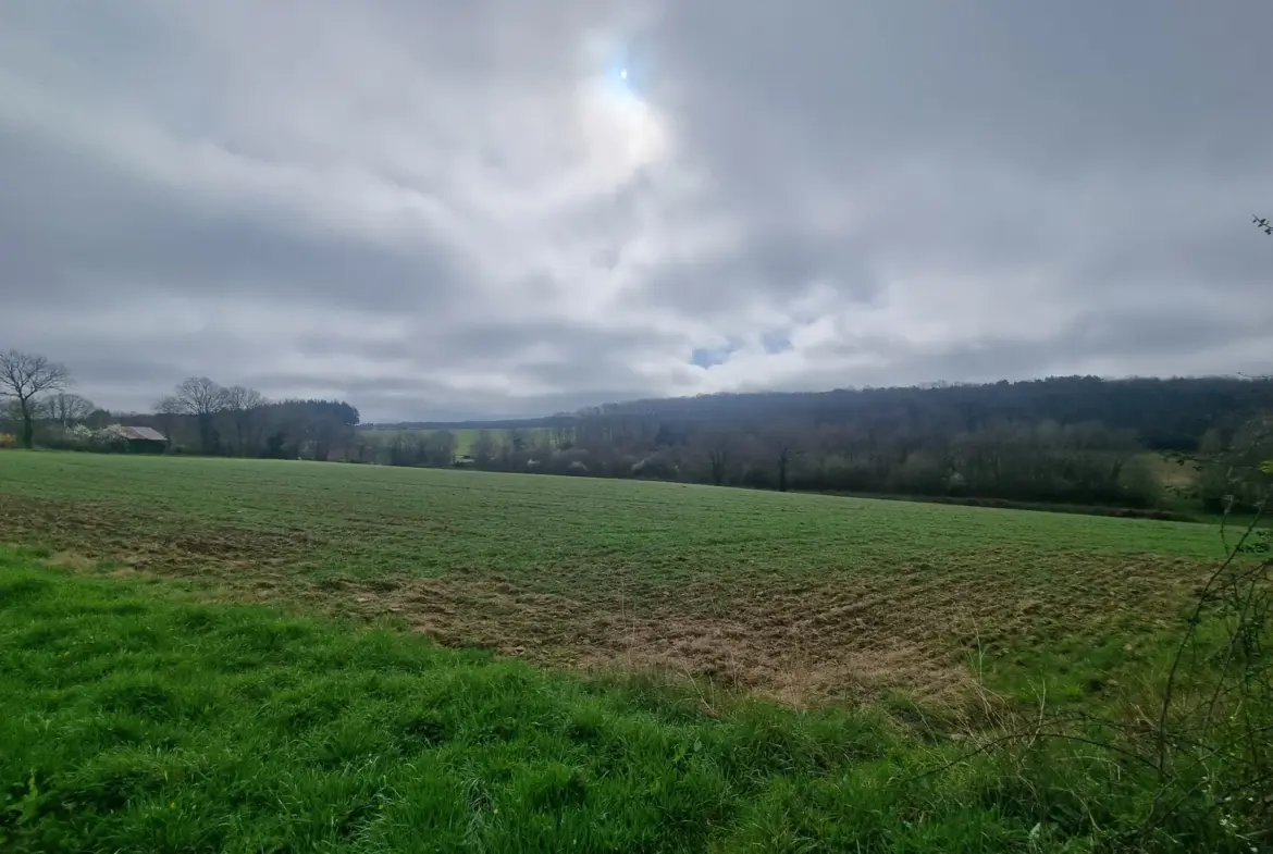 Maison en pierre à restaurer près de Saint-Léonard-des-bois 