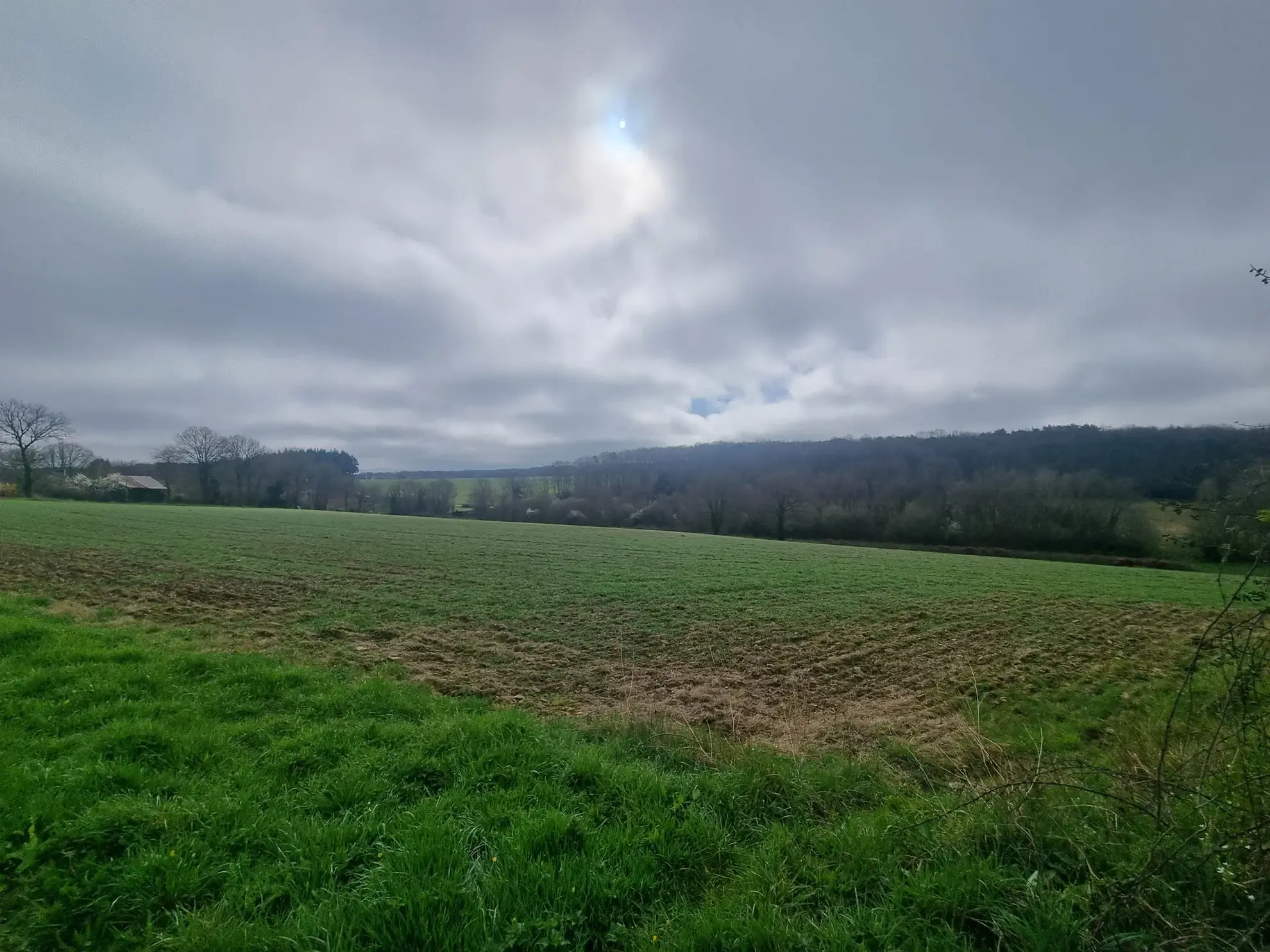 Maison en pierre à restaurer près de Saint-Léonard-des-bois 