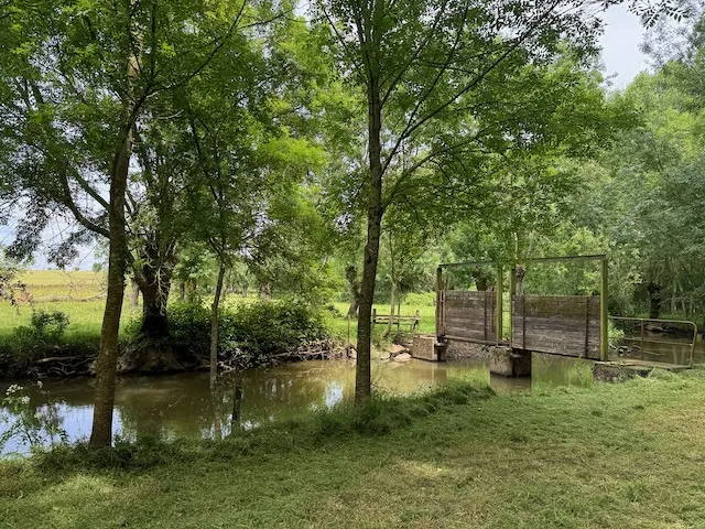 Terrain de loisirs à vendre en bord de rivière à Ste Hermine 