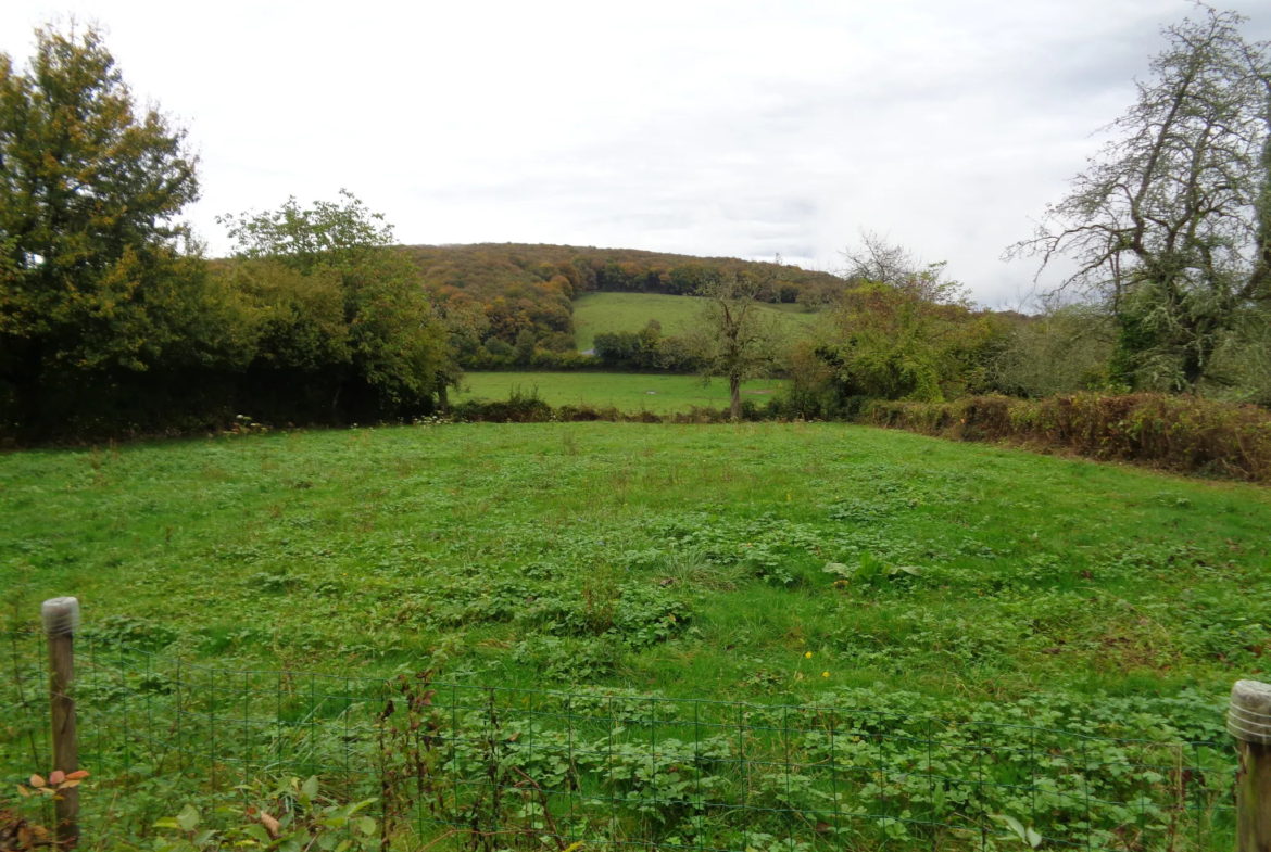 Longère de campagne avec dépendances à Saint Benin d'Azy 