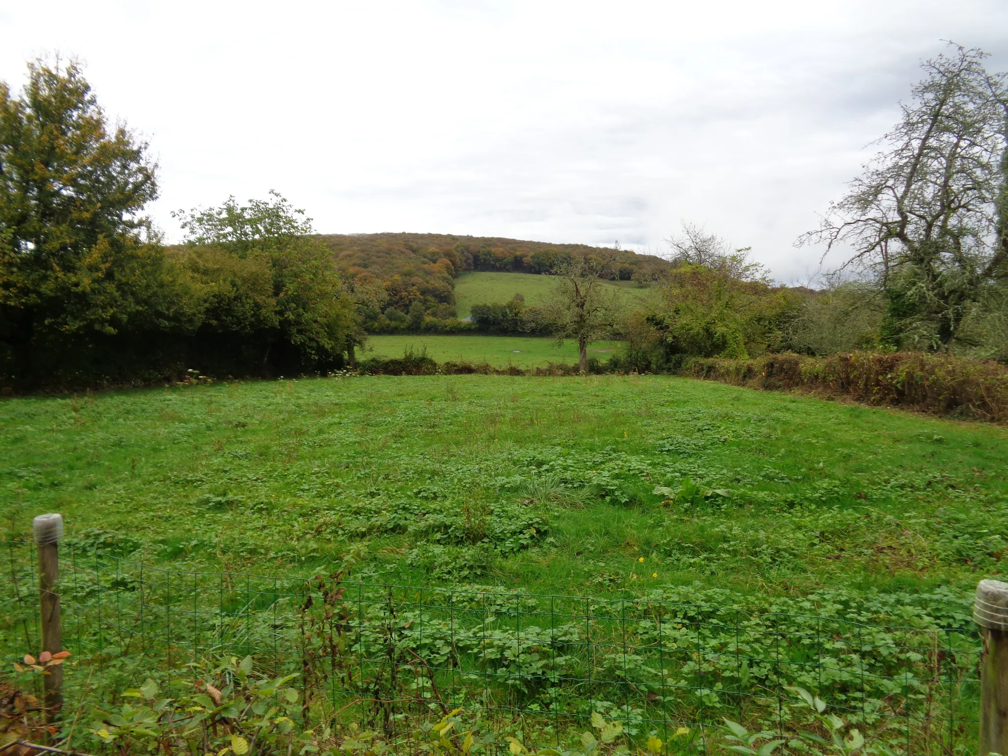 Longère de campagne avec dépendances à Saint Benin d'Azy 