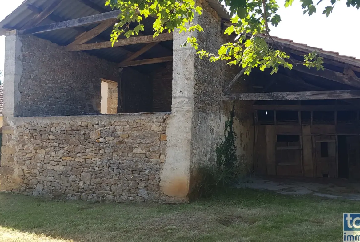 Vente de 2 Charmantes Granges à Savignac 