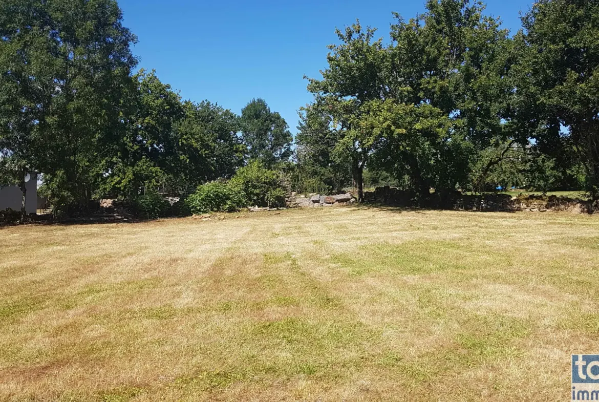 Vente de 2 Charmantes Granges à Savignac 