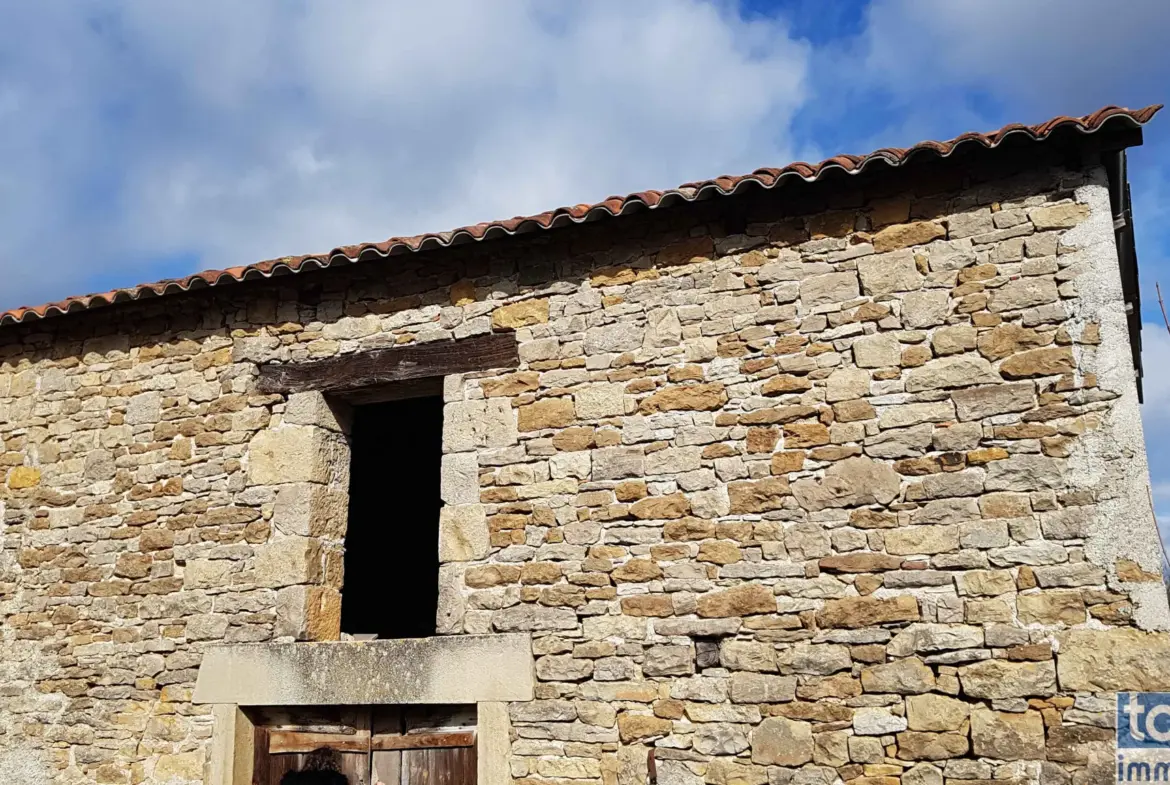 Vente de 2 Charmantes Granges à Savignac 