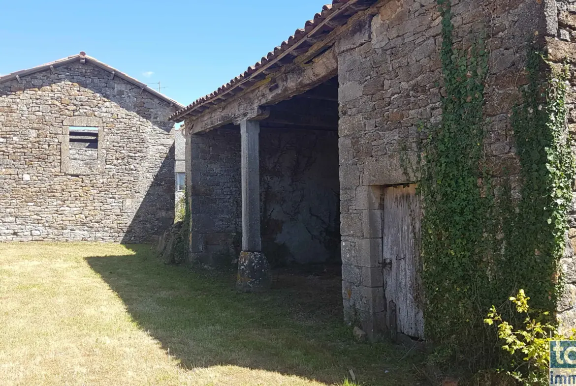 Vente de 2 Charmantes Granges à Savignac 