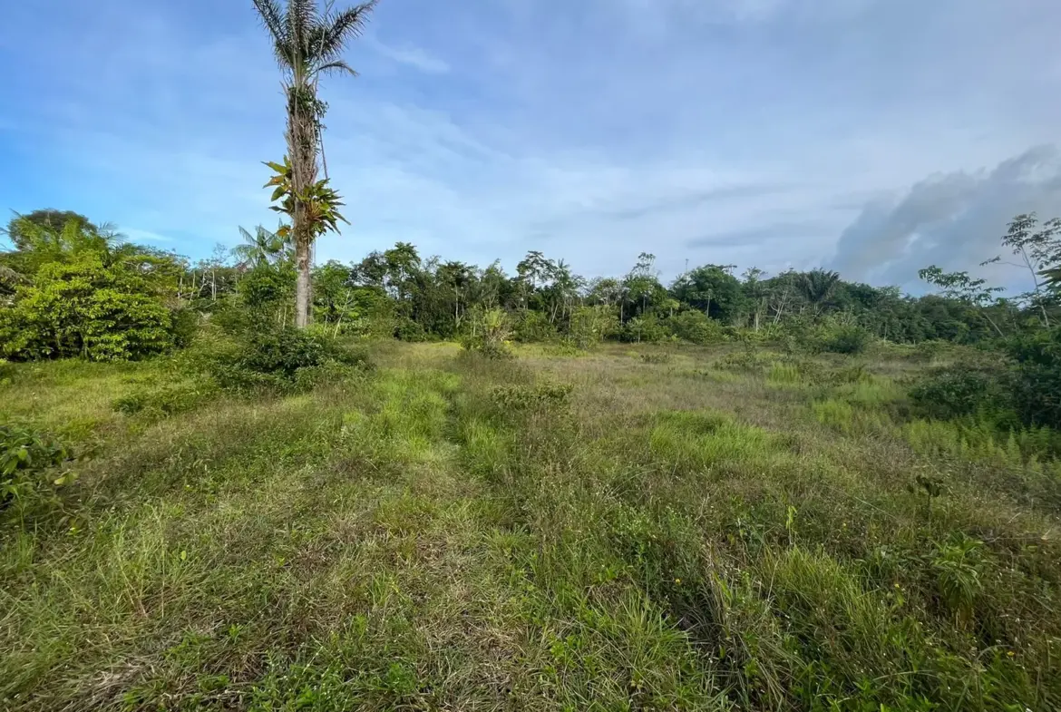 Parcelles de terrain à vendre à Stoupan, Matoury à partir de 75 000 € 