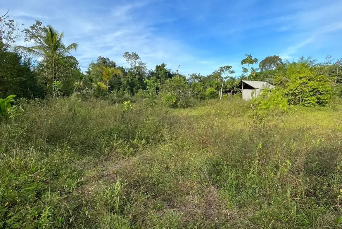 Parcelles de terrain à vendre à Stoupan, Matoury à partir de 75 000 € 