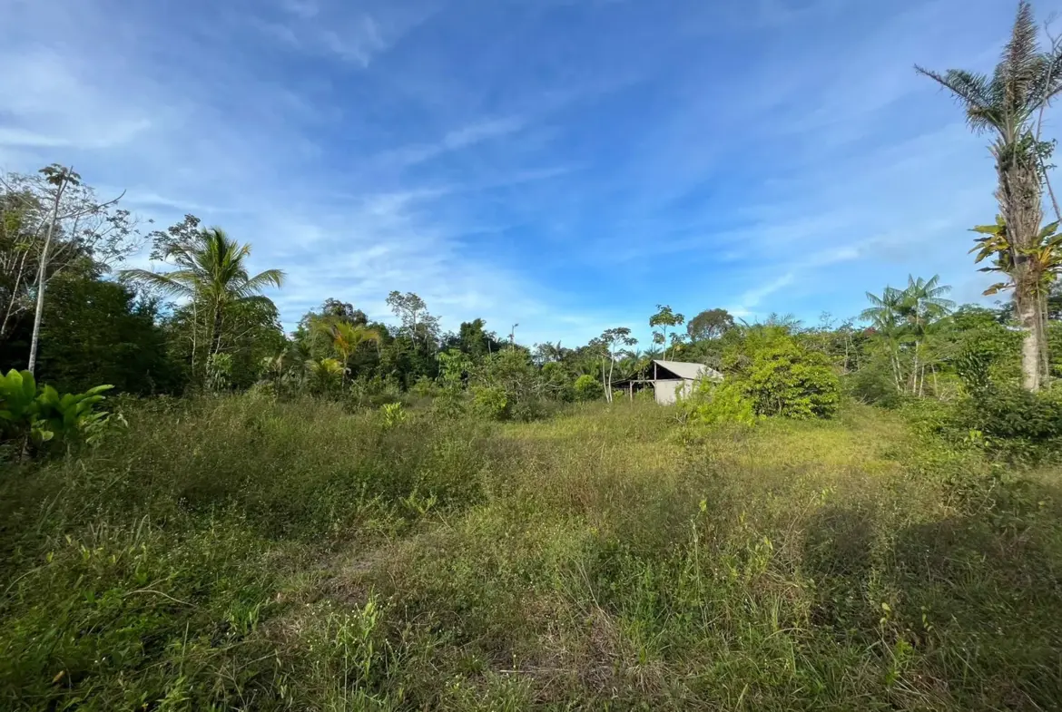 Parcelles de terrain à vendre à Stoupan, Matoury à partir de 75 000 € 