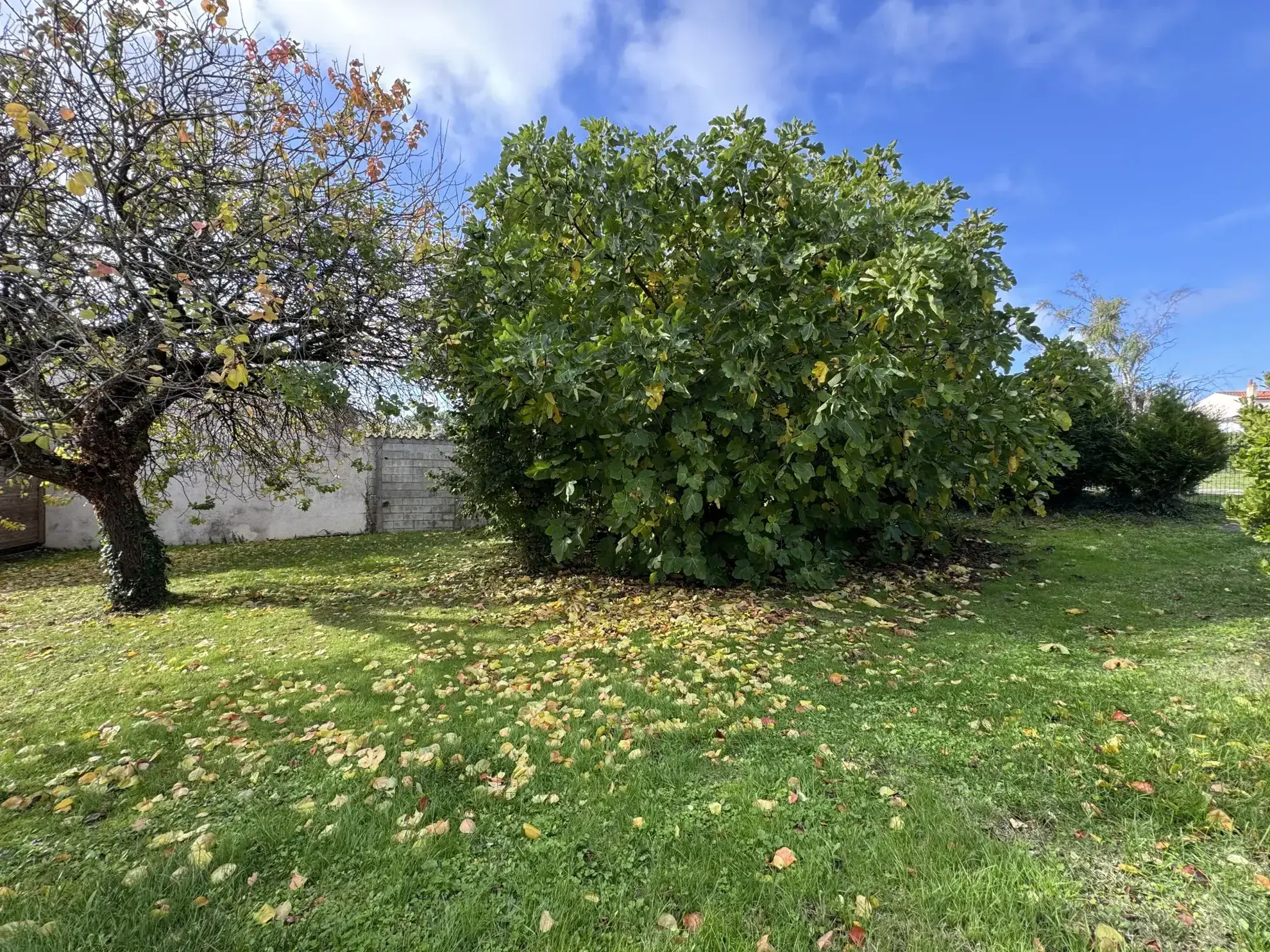 Maison à rénover à Meschers sur Gironde - 63 m² 