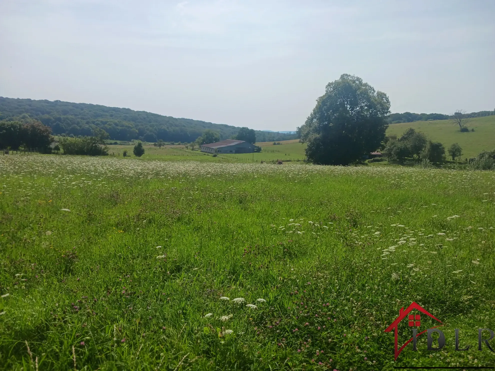 Charmante maison indépendante à Saint-Rémy-en-Comté - 129 m² 