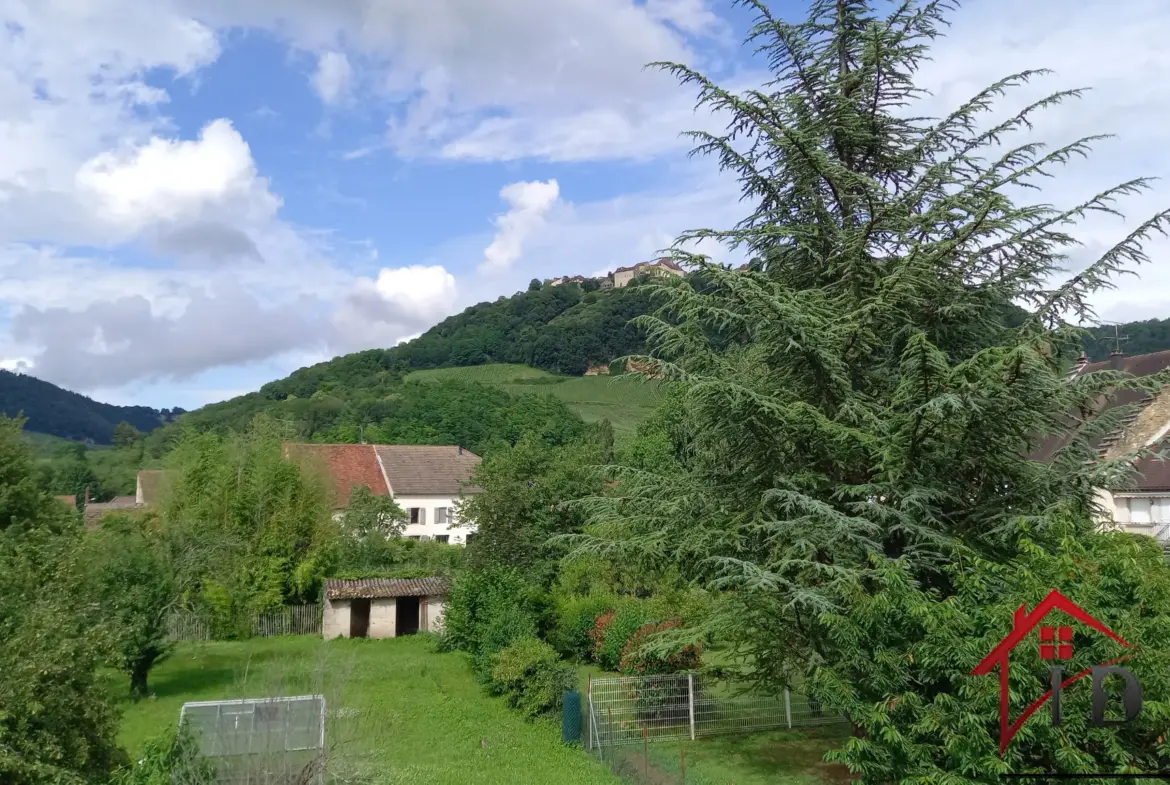 Maison Mitoyenne à Voiteur avec Terrain de 15 ares 