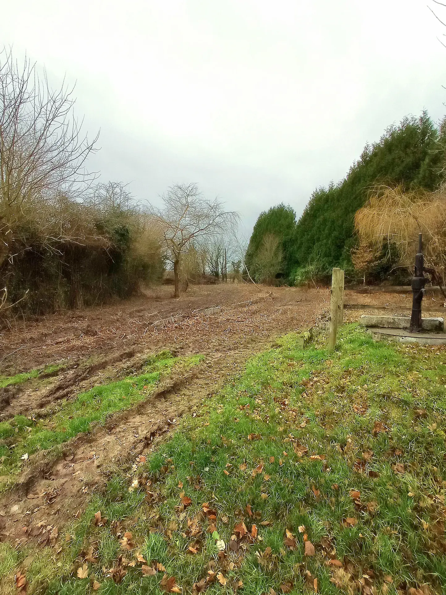 Terrain à bâtir de 1845 m² à Familly - 15 500 EUR 