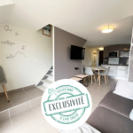 Appartement T3 rénové avec box et casier à skis à Saint-Lary Soulan