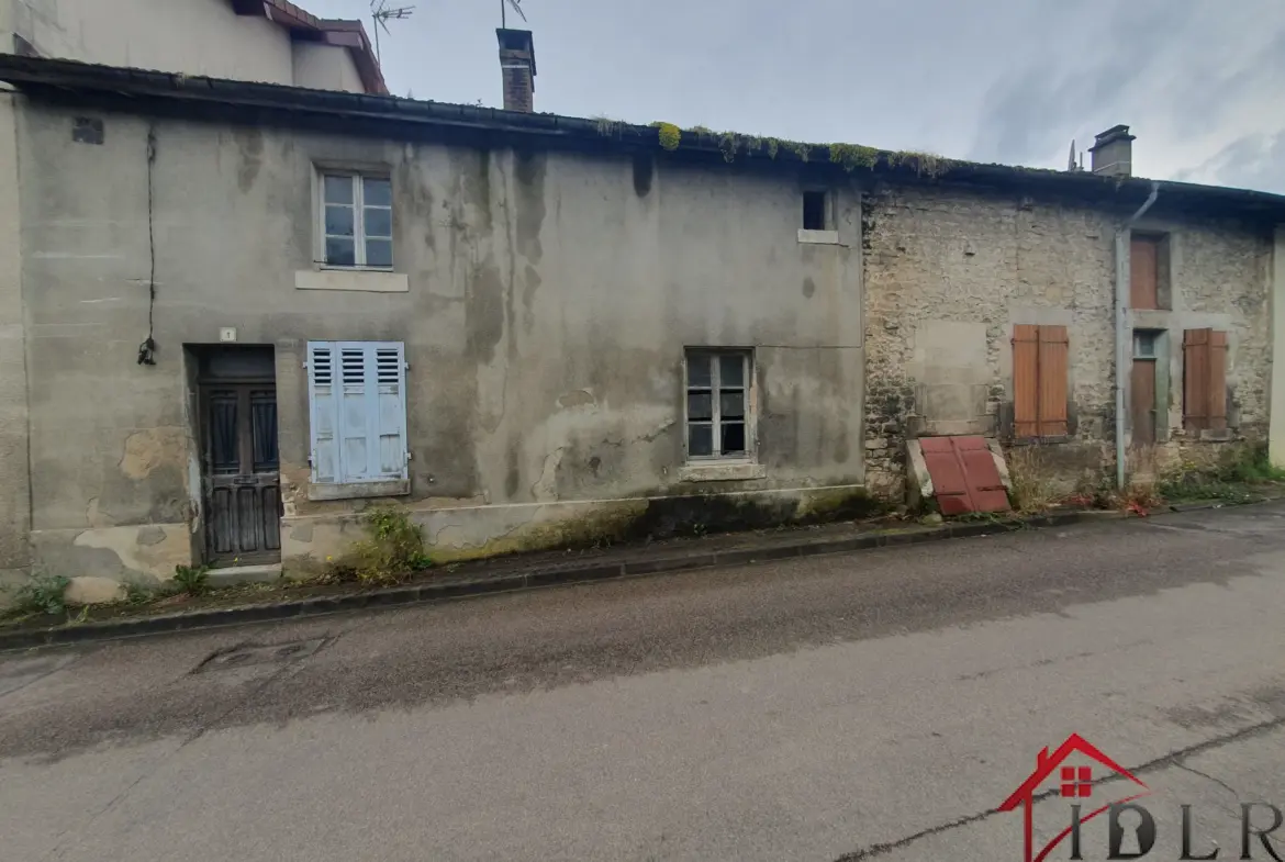 Investissement : Deux maisons mitoyennes à restaurer près de Saint-Dizier 