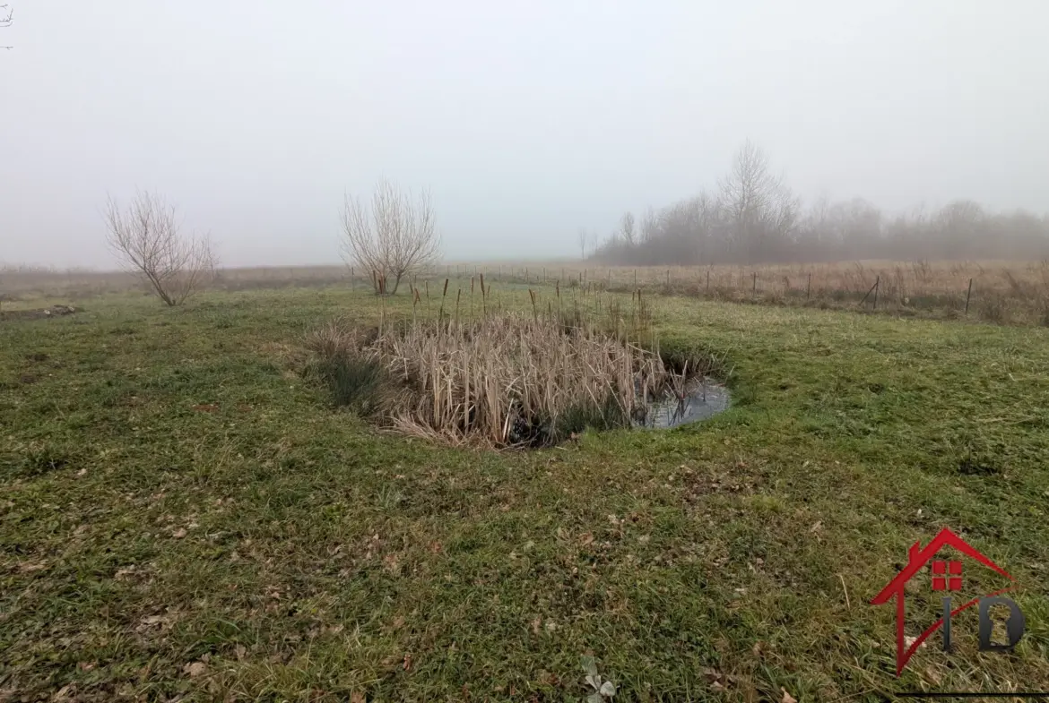 Maison rénovée 145 m² avec terrain spacieux à Francheville 