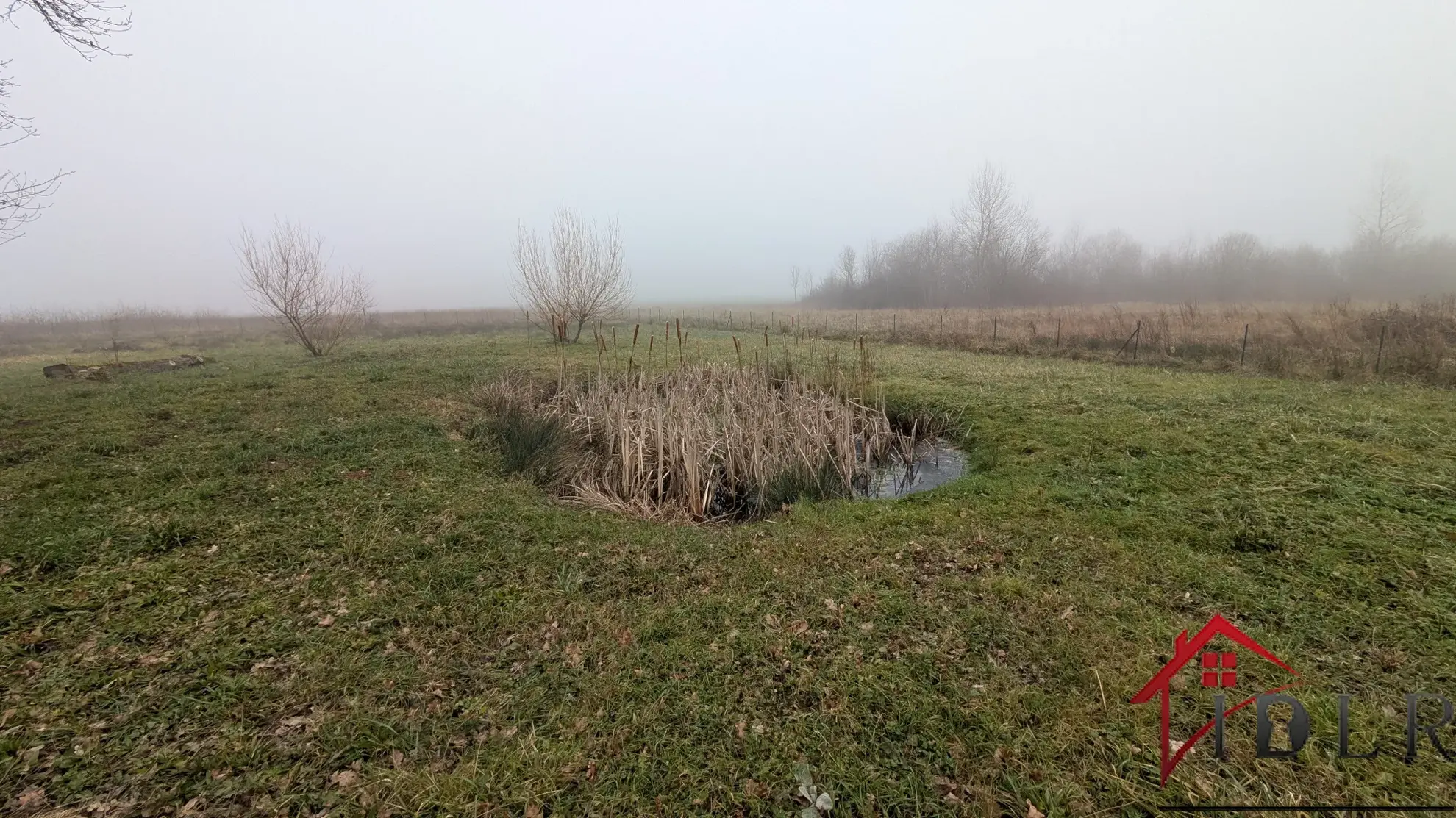 Maison rénovée 145 m² avec terrain spacieux à Francheville 