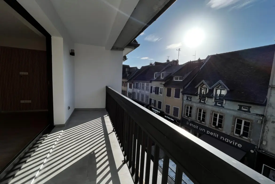 À vendre : Appartement rénové à Montbéliard, Centre-Ville avec terrasse 