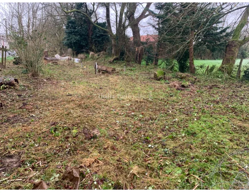 Terrain Constructible à Vendre à Corcoué-sur-Logne 