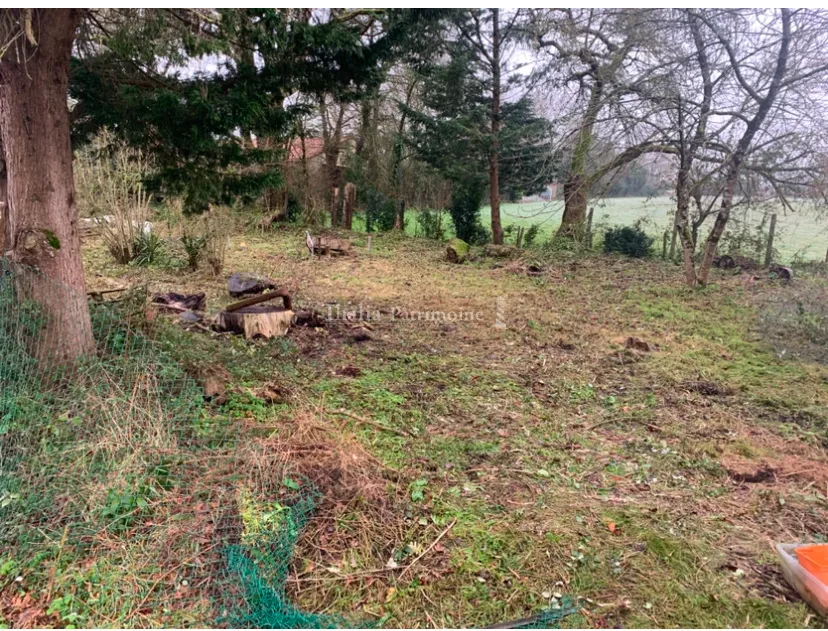 Terrain Constructible à Vendre à Corcoué-sur-Logne 