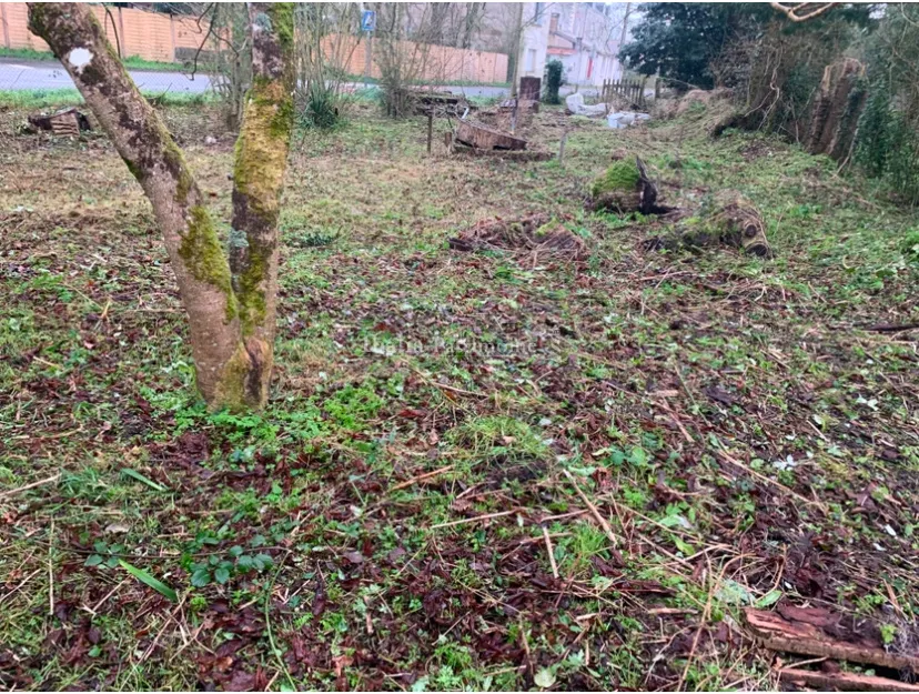 Terrain Constructible à Vendre à Corcoué-sur-Logne 