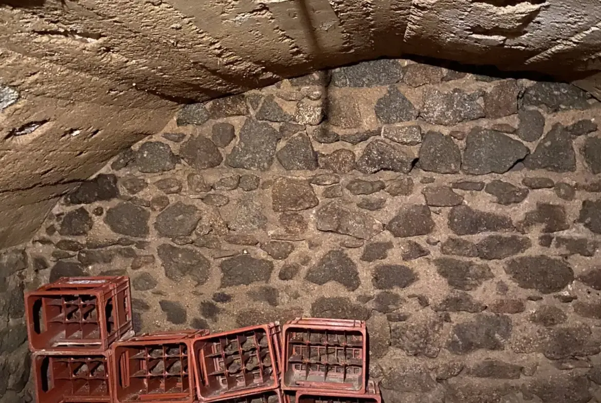 Maison en pierres avec vue et dépendance à Le Mayet de Montagne 